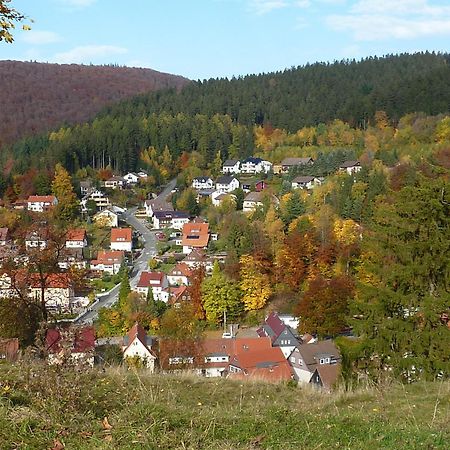 Pension Rheingold Garni บาดกรุนด์ ภายนอก รูปภาพ
