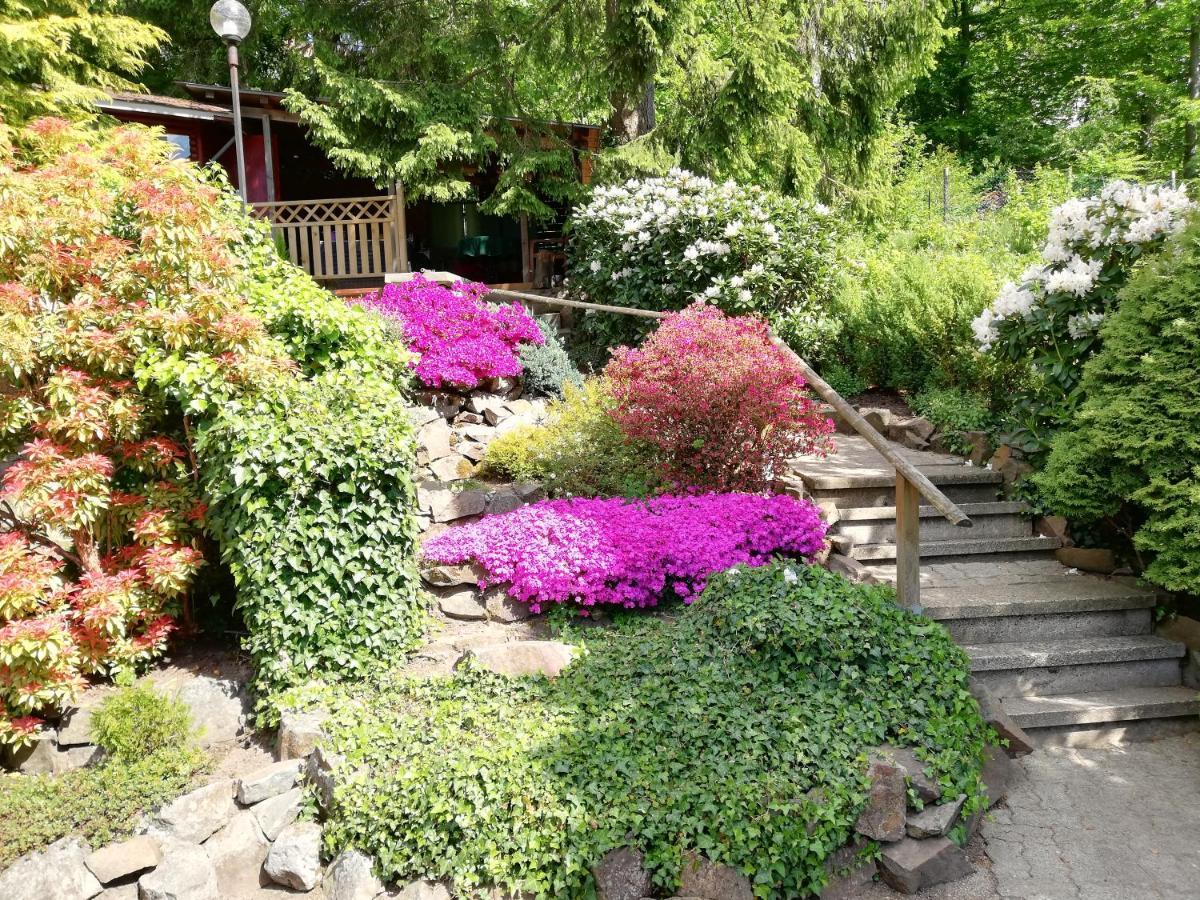 Pension Rheingold Garni บาดกรุนด์ ภายนอก รูปภาพ