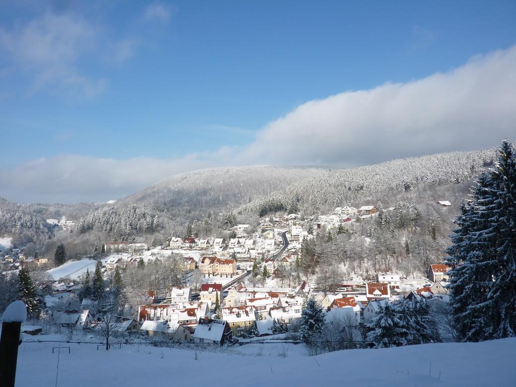 Pension Rheingold Garni บาดกรุนด์ ภายนอก รูปภาพ