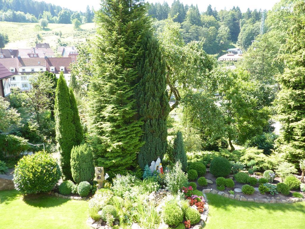 Pension Rheingold Garni บาดกรุนด์ ภายนอก รูปภาพ