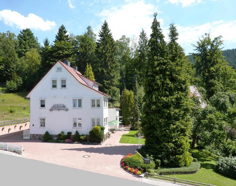 Pension Rheingold Garni บาดกรุนด์ ภายนอก รูปภาพ