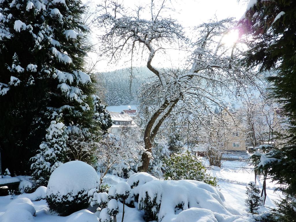 Pension Rheingold Garni บาดกรุนด์ ภายนอก รูปภาพ