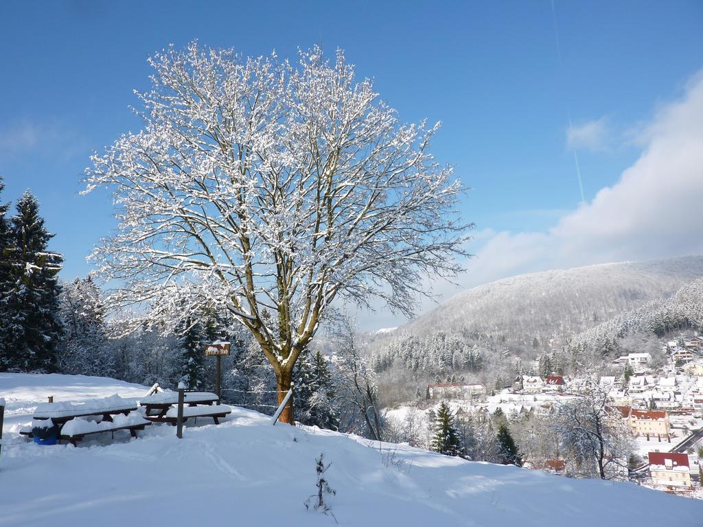 Pension Rheingold Garni บาดกรุนด์ ภายนอก รูปภาพ