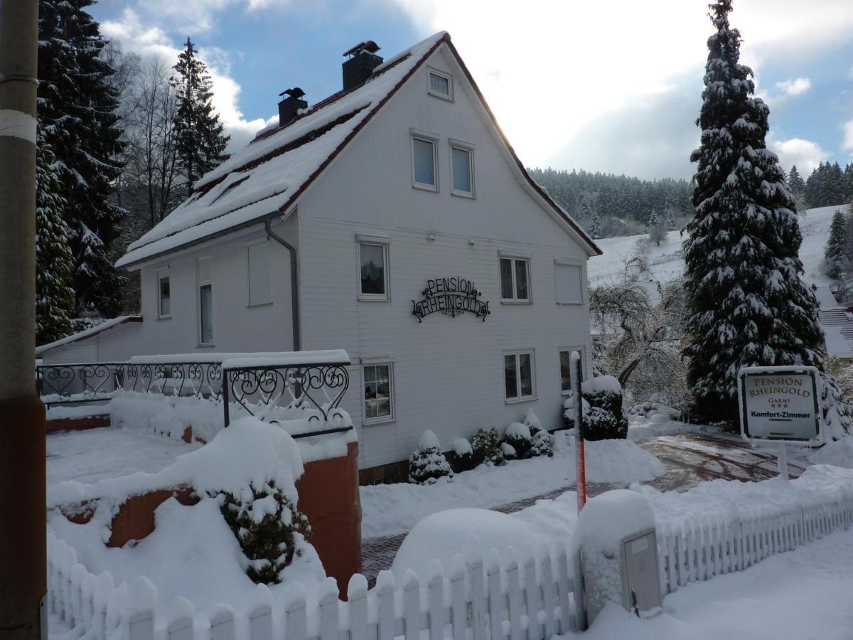 Pension Rheingold Garni บาดกรุนด์ ภายนอก รูปภาพ